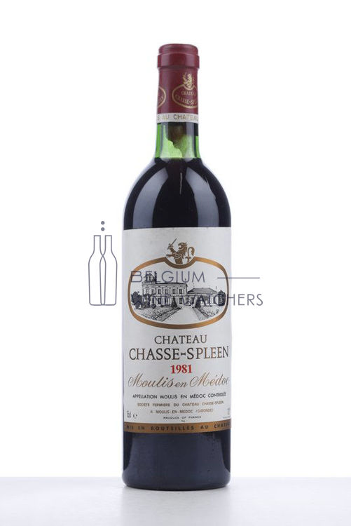 Afbeeldingen van 1981 CHASSE SPLEEN